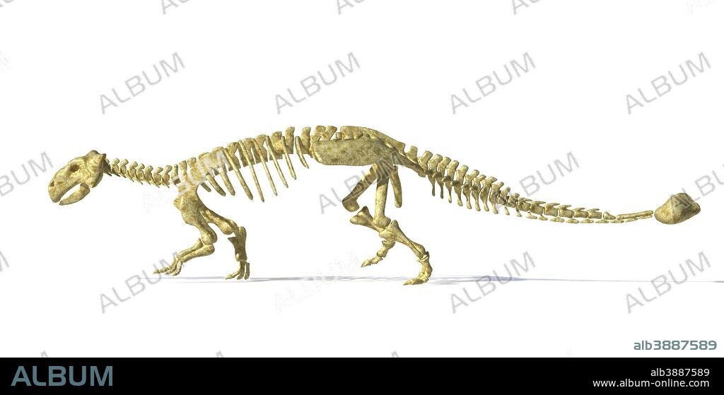3D rendering of an Ankylosaurus dinosaur skeleton, side view. This armored dinosaur lived in the early Mesozoic era.