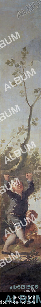 FRANCISCO DE GOYA. EL NIÑO DEL ARBOL - 1779-1780 - O/L - 262x40 - NP 789 - CARTON PARA TAPIZ.