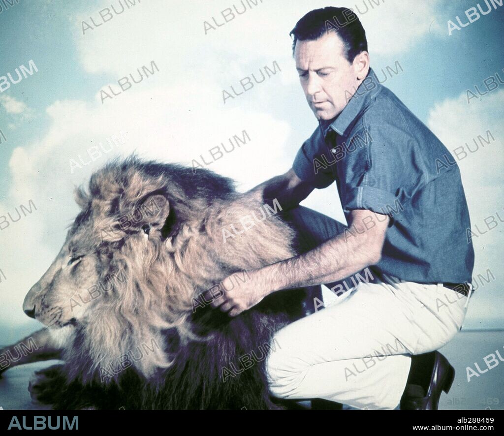 WILLIAM HOLDEN in THE LION, 1962, directed by JACK CARDIFF. Copyright 20TH CENTURY FOX.