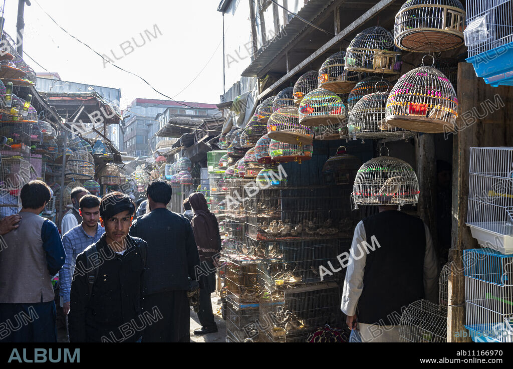 Birds for sale, Bird Street, Kabul, Afghanistan, Asia.