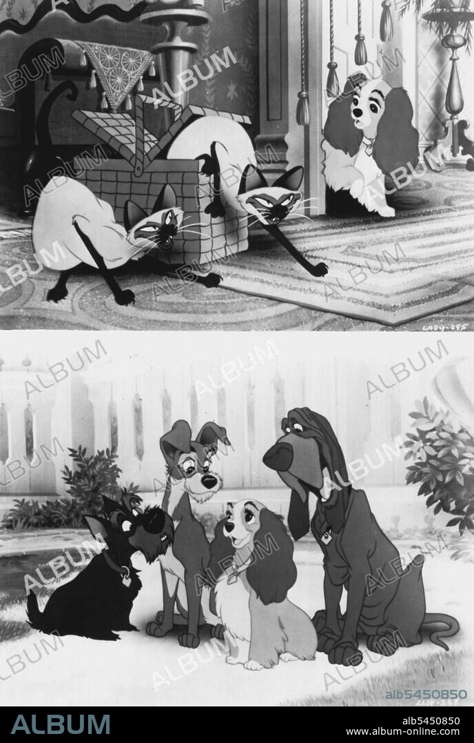 Lady meets Si and Am, two mischievous siamese cats, in a scene from Walt Disney classic Lady And The Tramp. Distributed in Australia by Roadshow Distributers. Rated G.Tramp introduces himself to Lady, Trusty the bloodhound and Jock the Scottish terrior in a scene from Walt Disney's classic Lady And The Tramp Distributed in Australia by Roadshow Distributers Rated G. January 01, 1955.