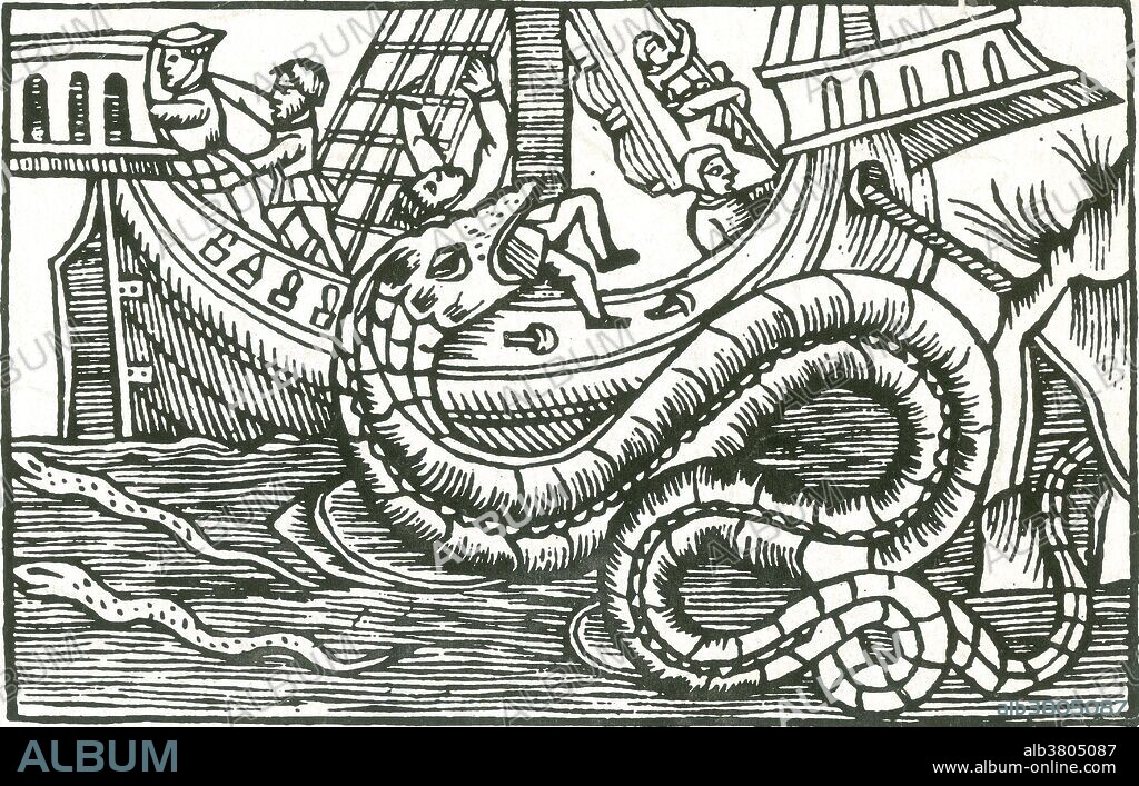 In Olaus Magnus' 1555 work History of the Northern Peoples, he describes a Norwegian serpent so bold that it would come out from its underwater cave on bright summer nights to feast on calves, lambs and pigs. This beast was said to be 200 feet long and 20 feet wide and was believed to live outside Bergen. Most disturbing, however, was this beast's flame-red eyes and penchant for eating people. The vicious creature would attack ships and feast on its people as it lifted itself straight up from the water toward the sky. Also identified as a Kraken. The legend may have originated from sightings of giant squid that are estimated to grow to 40-50 feet in length, including the tentacles. The sheer size and fearsome appearance attributed to the kraken have made it a common ocean-dwelling monster in various fictional works.