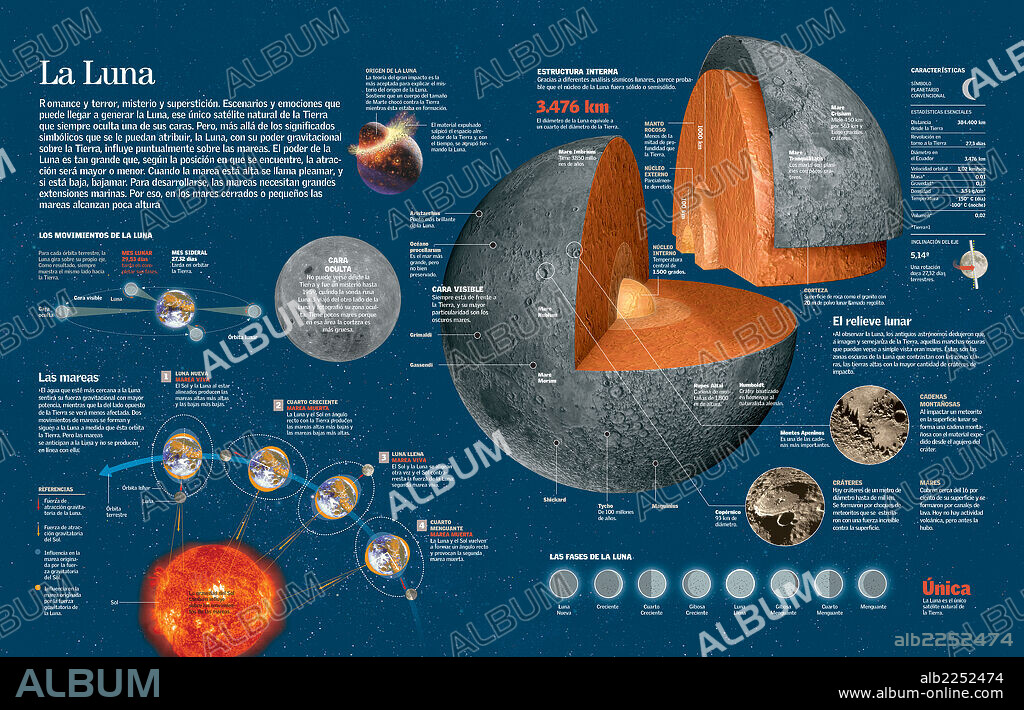LUNA. Infografía del origen, geografía, estructura y fases de la Luna y su influencia sobre las mareas.