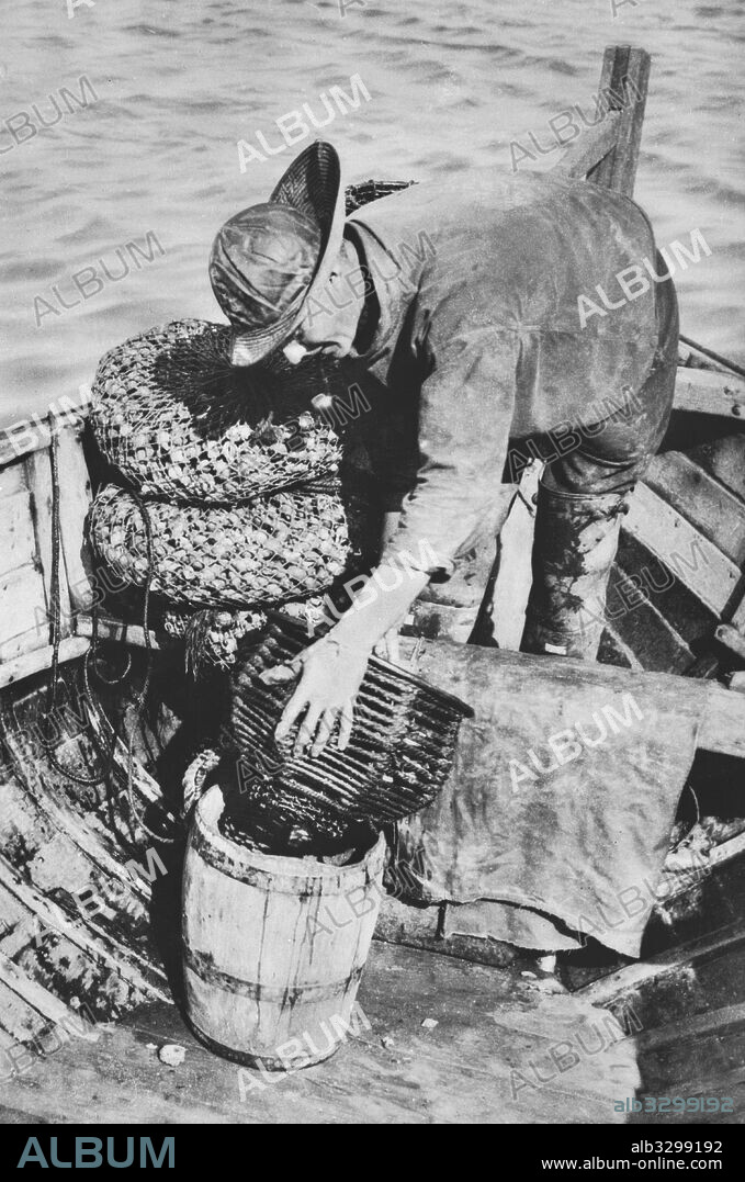 A Whitstable Whelker With His Traps. Whitstable, c1927.