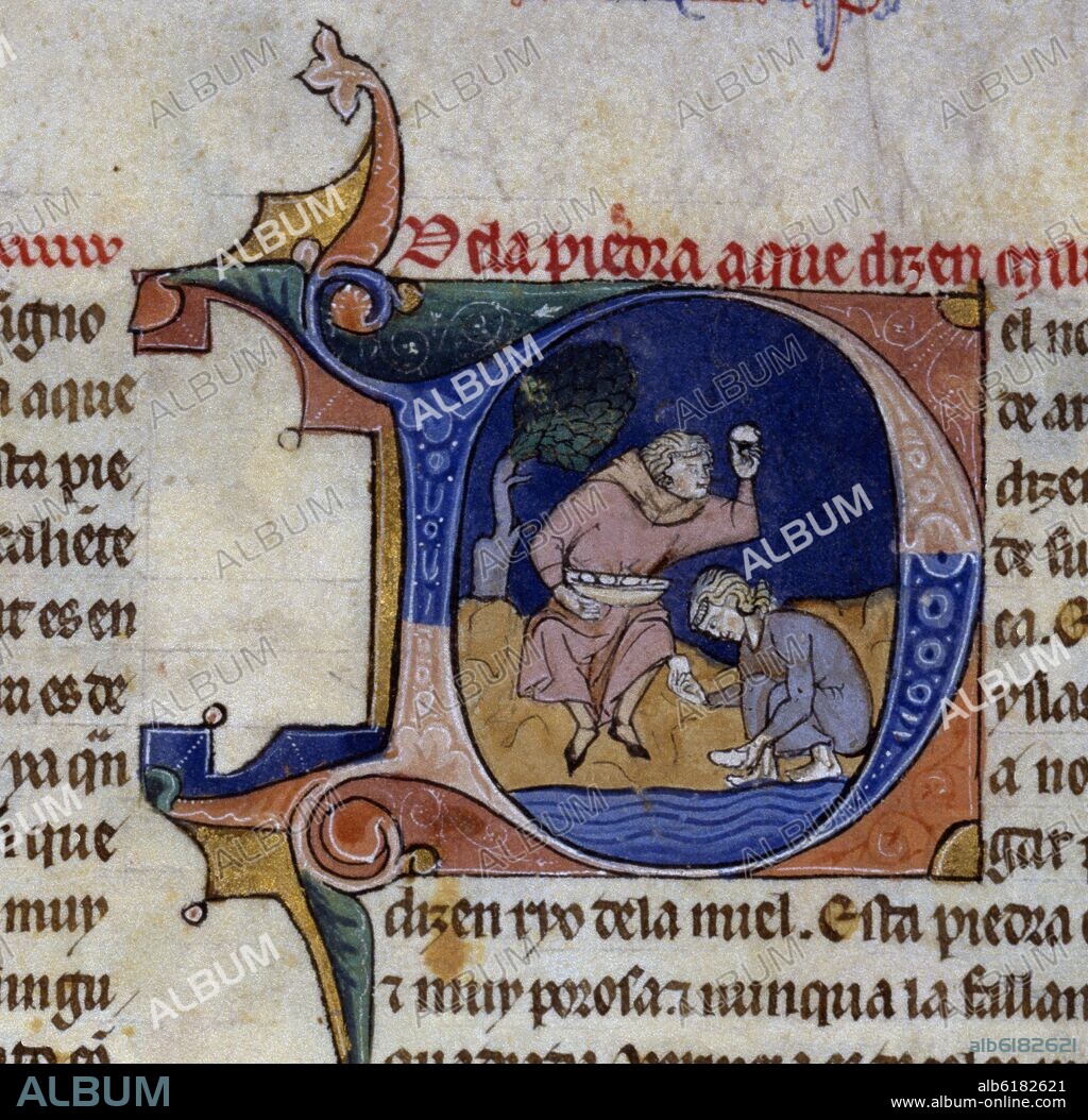 ALFONSO X EL SABIO (1221-1284). LAPIDARIO HI 15. DETALLE DE FOLIO 4 R. 1253.MANUSCRITO ALFONSI S XIII.
