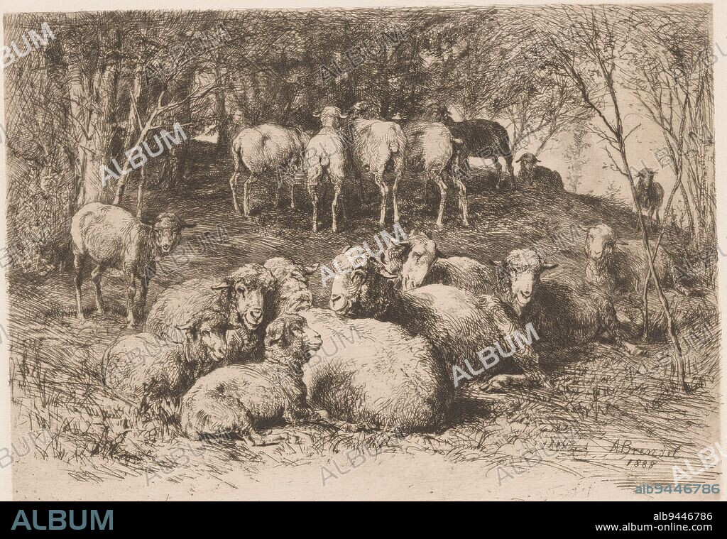 Sheep in a forest, Albert Heinrich Brendel, 1888, print maker: Albert Heinrich Brendel, (mentioned on object), publisher: Weimarer Radierverein, Weimar, 1888, paper, etching, h 217 mm × w 299 mm.