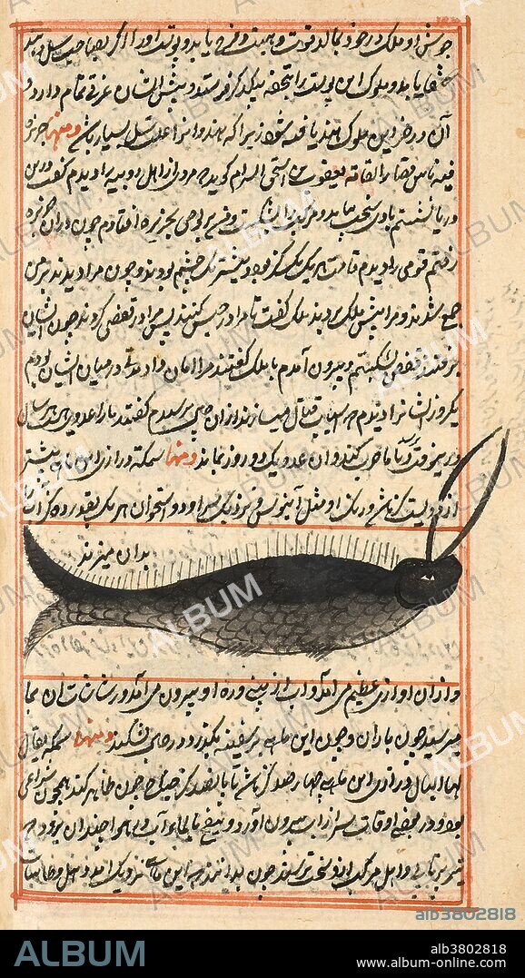 Al-Qazwini also describes a sea filled with strange animals, many of which are dangerous to ships. One large creature, probably a whale or other sea mammal, is ebony colored with two bones, most likely tusks, near its head. It can squirt water from holes on the top of its head which then falls on its back like rain drops. The Kitab Aja'ib al-makhluqat wa Gharaib al-Mawjudat, usually known as "The Cosmography" or "The Wonders of Creation", was compiled in the 13th century in what is now Iran or Iraq and is considered one of the most important natural history texts of the medieval Islamic world. The author Abu Yahya Zakariya ibn Muhammad ibn Mahmud-al-Qazwini (1203-1283), known simply as al-Qazwini, was one of the most noted natural historians, geographers and encyclopedists of the period. At the very end, the scribe has written a colophon praising Allah again and stating that he finished copying this manuscript in 1537.