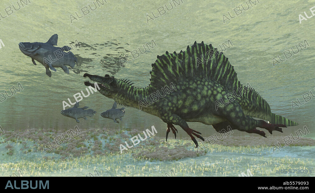 Spinosaurus preys on Mawsonia.