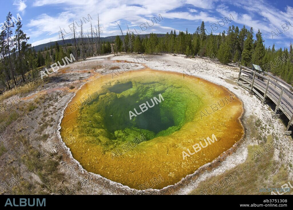 Morning Glory Pool, Upper Geyser Basin, Yellowstone National Park, UNESCO World Heritage Site, Wyoming, United States of America, North America.