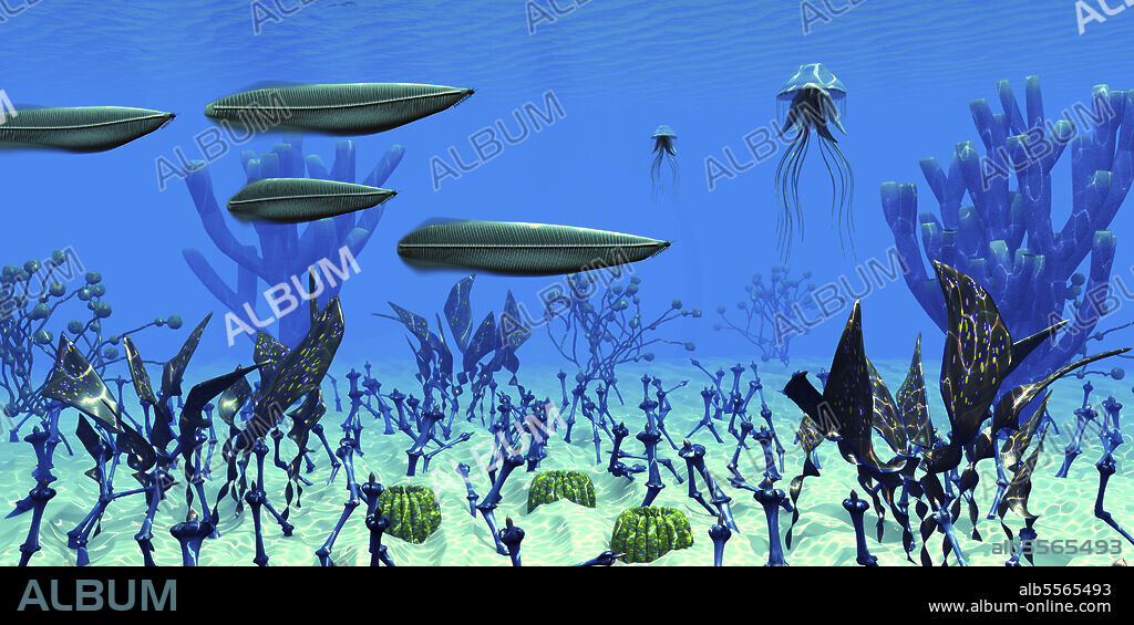 Four Pikaia predatory arthropods search for prey in the clear waters of the Cambrian seas of Canada.