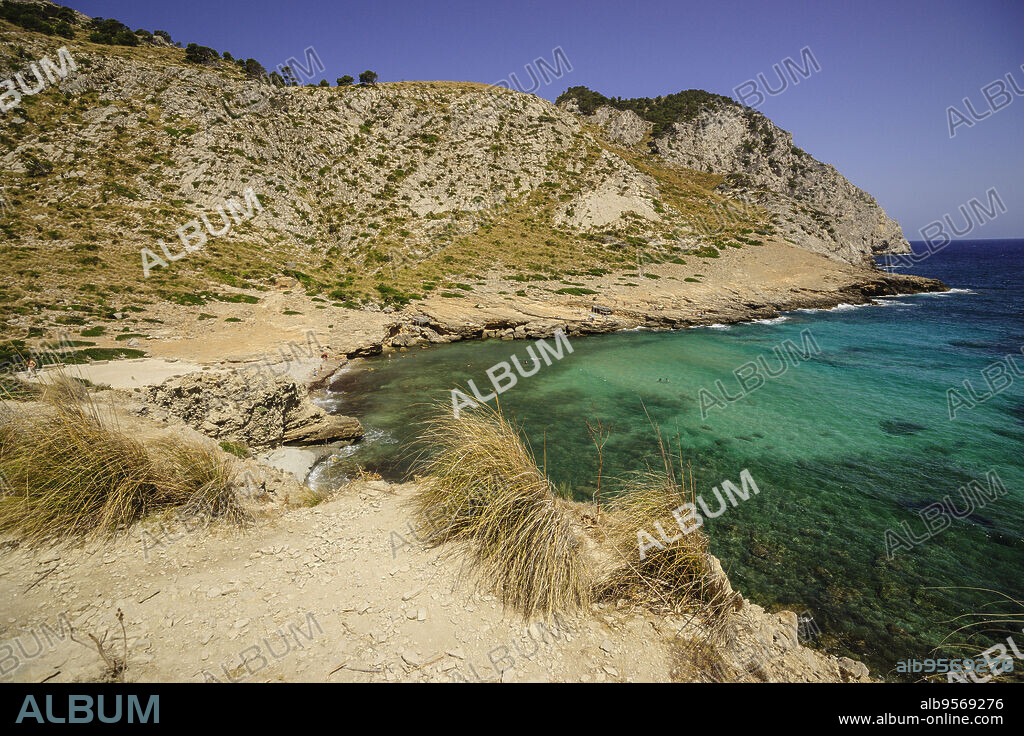 Cala Figuera beach, Formentor peninsula, Pollença. Sierra de Tramuntana Natural Park. Majorca. Balearic Islands. Spain.