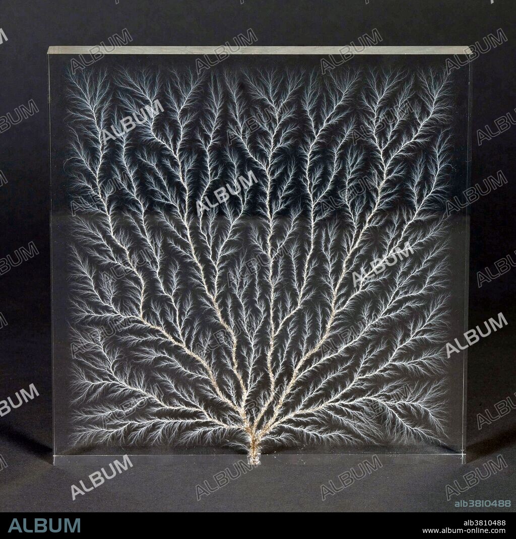 This Electron Tree was a gift to the National Institute of Standards and Technology (NIST) from the UK's National Physical Laboratory (NPL) in celebration of NIST's centennial in 2001. An Electron Tree, also known as a "Lichtenberg Figure", is a small Perspex block which has been internally fractured by electrons escaping through a tiny break in the Perspex's base. The pattern the electrons make in the Perspex as they rush out of the block looks like a tree, or fern-like structure. The tree was made at NPL using an Electron Linear Accelerator (Linac), which delivers beams of electrons to a precise fixed point. Linacs are commonly used in treatments to kill cancerous cells in the human body, where accuracy of the beam is critical to ensure that the cancerous cells are uniformly hit during the treatment and do not damage the healthy surrounding cells.