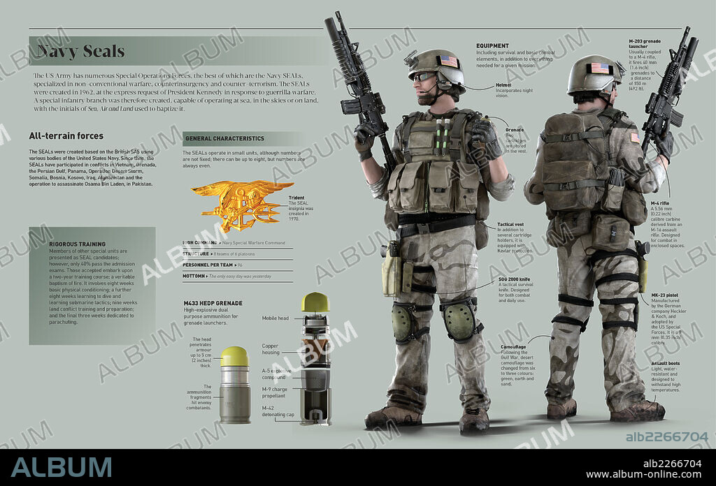NAVY SEALS. Infographic on NAVY Seals, a special Operations Forces of the US Army.