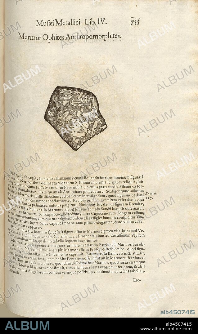Marmor Ophites Anthropomorphites, Illustration of 17th century marble orphites and anthromorphites, Fig. 3, p. 755, 1648, Ulysses Aldrovandi: Ulyssi Aldrovandi patricii Bononiensis Musaeum metallicum in libros IIII: distributum Bartholomaeus Ambrosinus [...] labore, et studio composuit cum indice copisosissimo Arcus Antonius Bernia. [Liber quartus]. Bononiae: typis Io. Baptistae Ferronii, 1648.