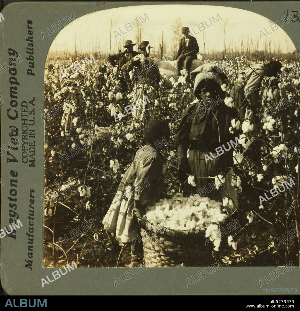 We'se done all dis's Mornin'. Picking cotton on a Mississippi plantation., Keystone View Company, 1868, Mississippi.