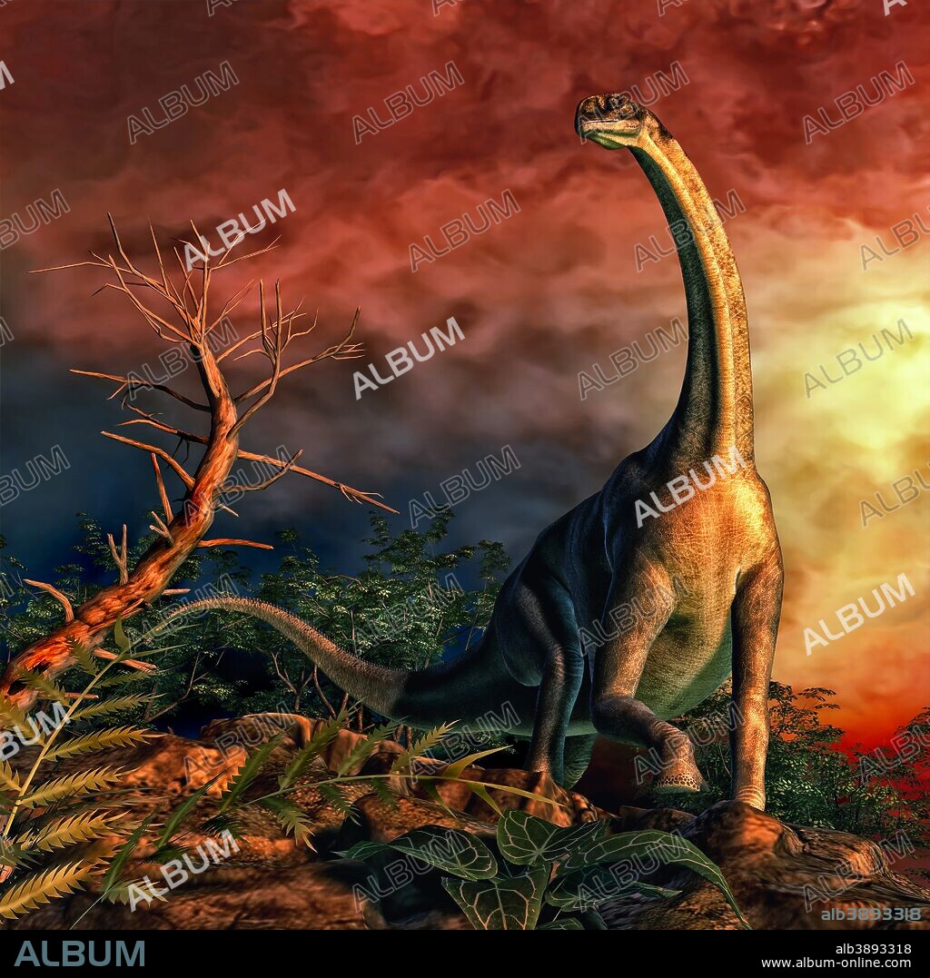 Jobaria was a sauropod dinosaur that lived in the current day Niger during the middle Jurassic Period, between 164-161 million years ago.
