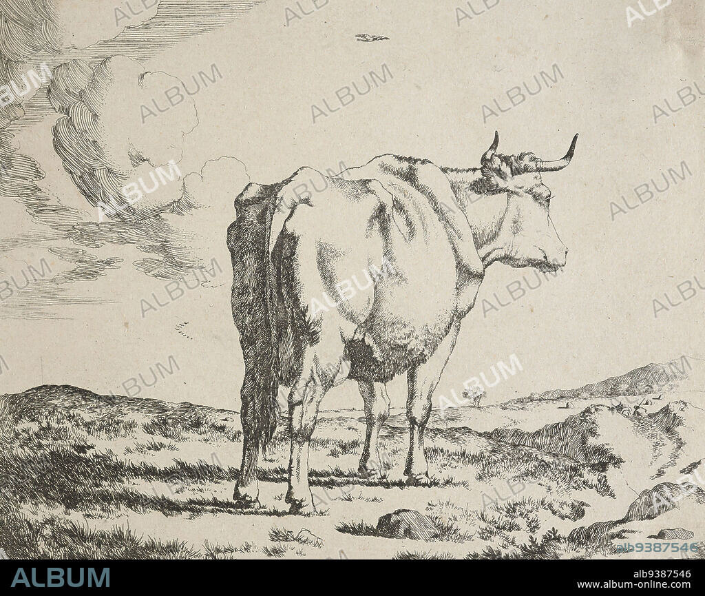 Another series of cows. Plate 5: A cow standing in a landscape., Marcus de Bye, etcher, Mid 17th century, Netherlands, etching, The Dutch printmaker Marcus de Bye (also de Bije/ de Bie) is little-known in relation to his talent and prolificness. He was born in The Hague in 1639 and died after 1688. He became a pupil of Jacob van der Does in 1658. Better known as an engraver and etcher than a painter, he engraved several series of animal studies after the famous but short-lived painter Paulus Potter (1625-54), and also produced a number of original engravings.