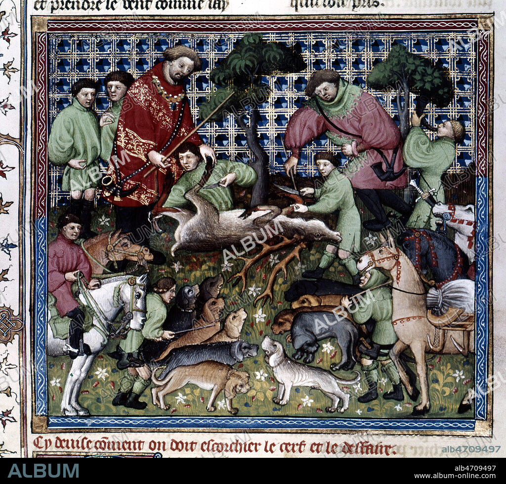 La curee du cerf. Enluminure tiree du Livre de la Chasse, par Gaston PHOEBUS, au 14eme s. (XIVe, 14e, 14eme s.). Gaston III dit Fébus ou Ph¿bus, (1331-1391), comte de Foix, vicomte de Béarn, important seigneur féodal de la Gascogne et du Languedoc, et écrivain français, grand chasseur de son temps. Credit : Collection JEAN VIGNE / Kharbine-Tapabor.