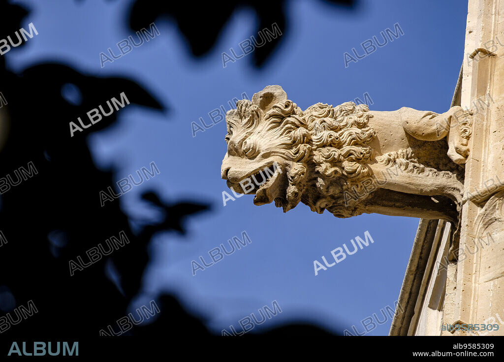 gargola en forma de leon, Lonja de Palma de Mallorca , Sa Llotja, antigua sede del Colegio de Mercaderes, Monumento histórico-artístico, construida por Guillem Sagrera entre 1420 y 1452, Palma, Mallorca, balearic islands, Spain.