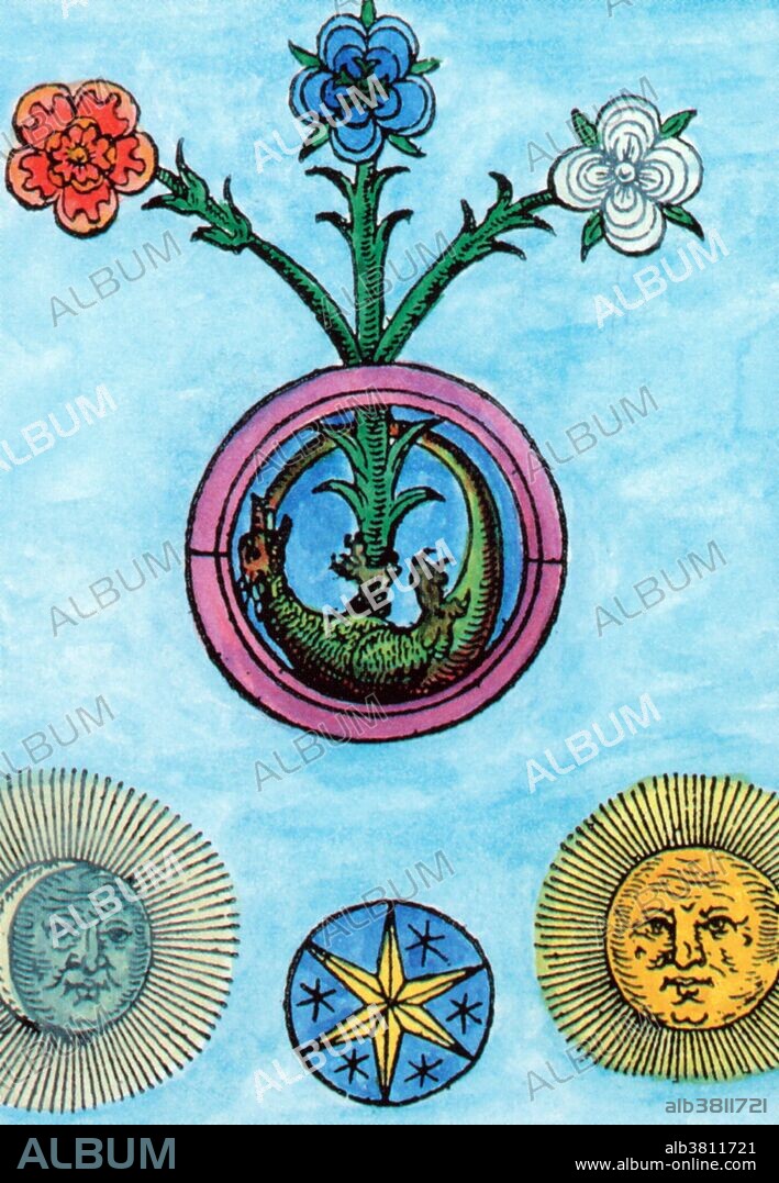An alchemical illustration. From the corpse of the mercurial ouroboros (the ancient symbol of a snake devouring its own tail), the three principles of sulfur, mercury, and salt are resurrected in full bloom. Alchemy was the pseudo-scientific predecessor of chemistry. Among other pursuits, alchemists searched for formulas that would turn base metals into gold. They sought wisdom and the secret to immortality.