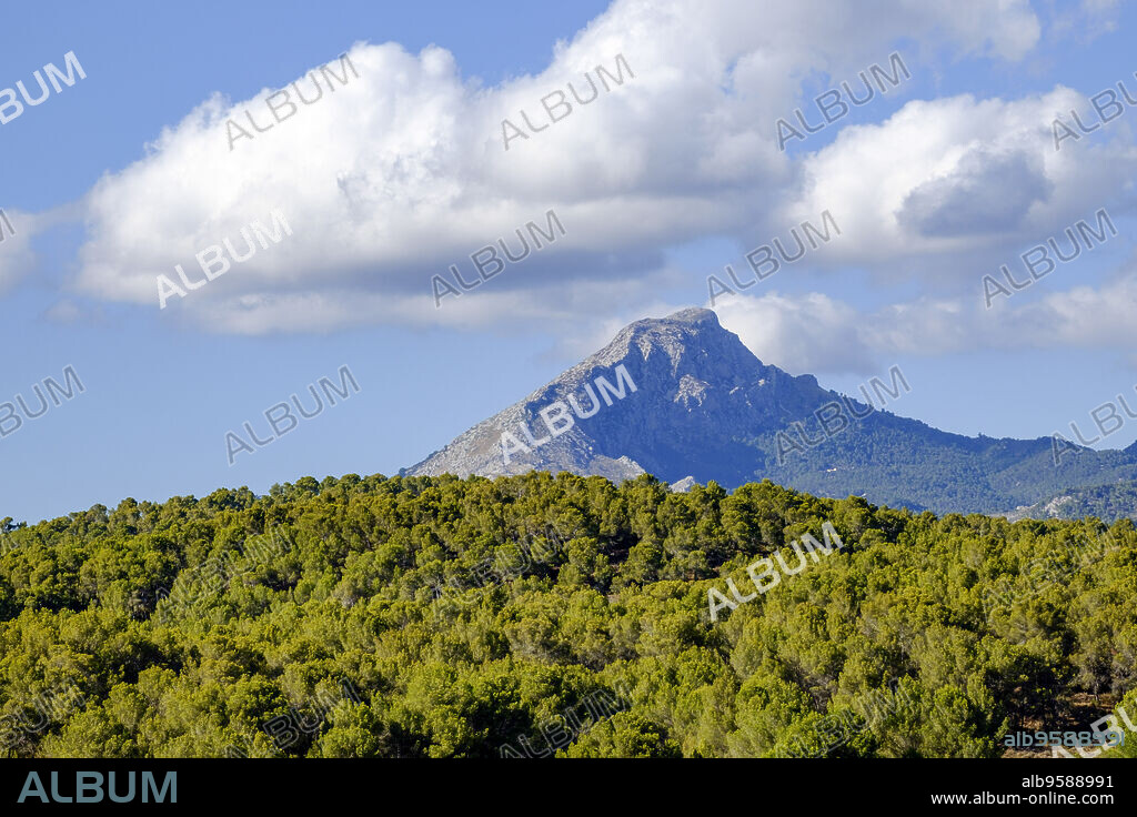 Puig de Galatzó, 1,027-meter-high peak, Mallorca, Balearic Islands, Spain, Europe.
