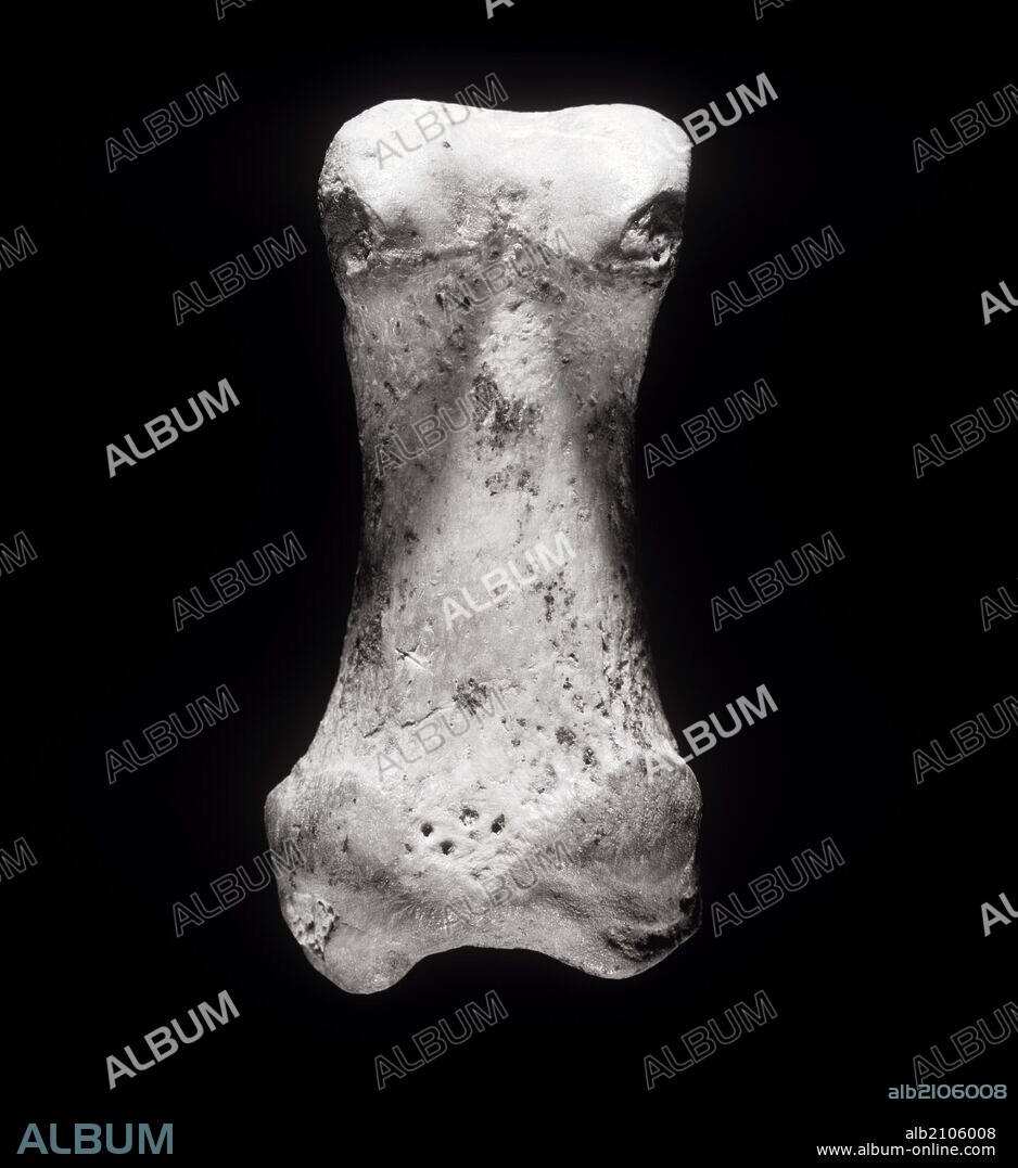 FALANGE HOMO ANTECESOR. MATADOR, REPRODUCCION DE LA REVISTA Y FOTO DE LA PORTADA PREMIADA "ATAPUERCA".