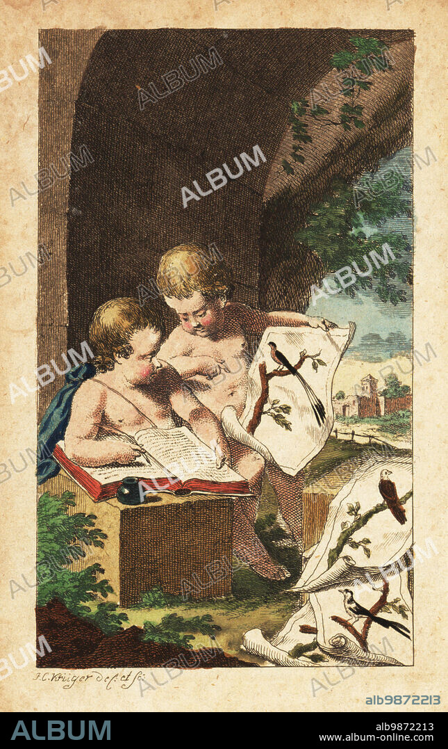 Frontispiece with two young cherub ornithologists writing in a book while looking at prints of birds, 18th century. Handcoloured copperplate engraving drawn and engraved by Johann Conrad Kruger from Bernhard Christian Otto's Herrn von Buffons Naturgeschichte der Vogel, Buffon's Natural History of Birds, Ben Joachim Pauli, Berlin, 1772.