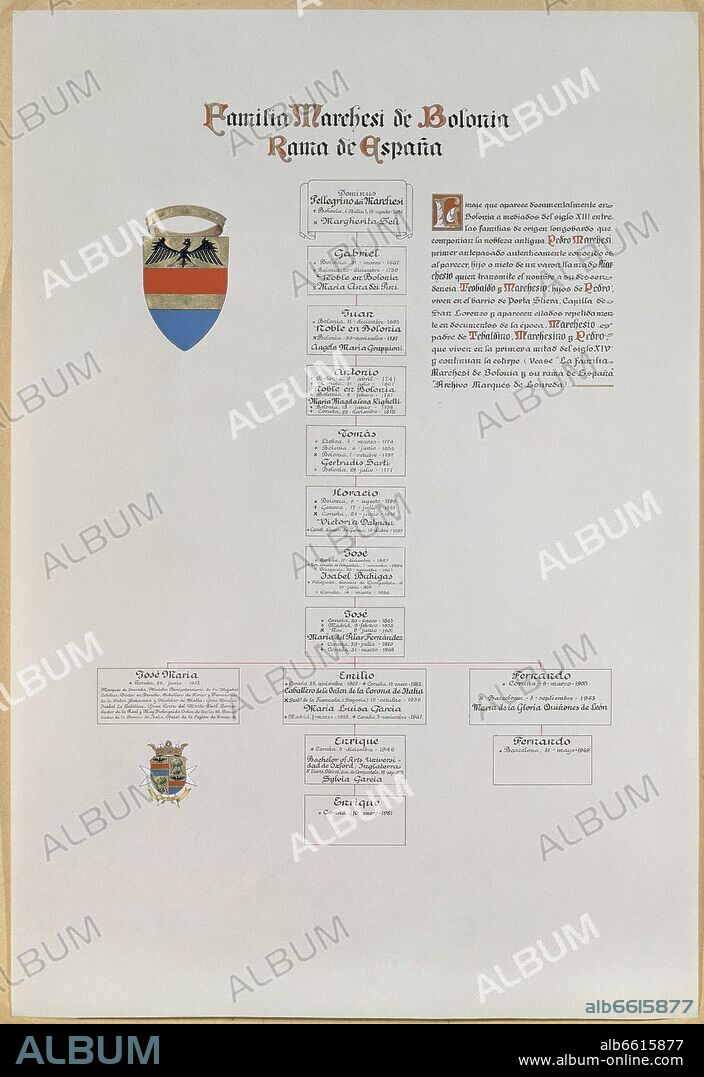 HERALDICA ARBOL DE FAMILIA MARCHESI DE BOLONIA.