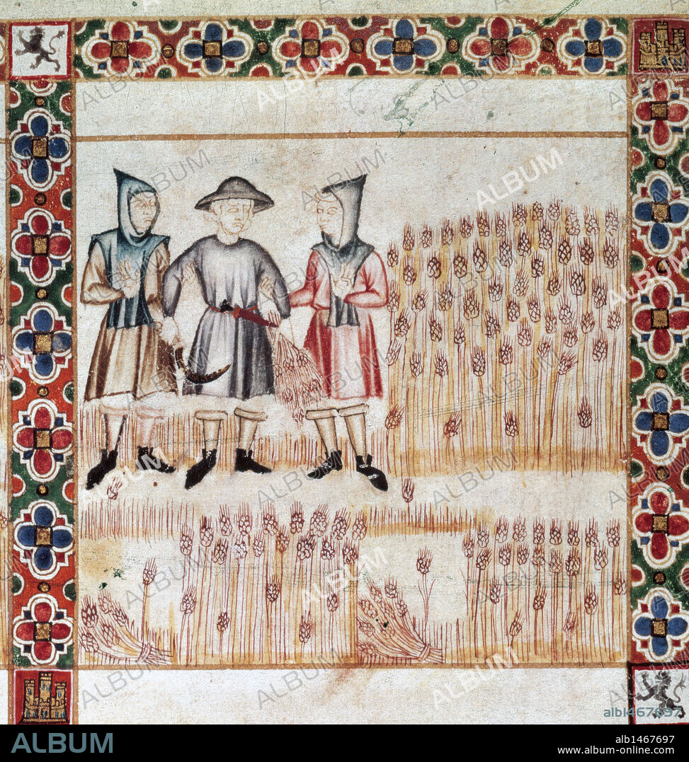 CANTIGAS DE SANTA MARIA. Obra personal del rey Alfonso X "el Sabio" (Toledo,1221-Sevilla,1284). Virgen cura a un labardor el dia de San Qurce. CSM: 396. f14r. Colección de 430 poemas. "AGRICULTORES SEGANDO UN CAMPO DE TRIGO". Miniatura del folio 236. Cántiga nº 2 r. Biblioteca del Real Monasterio de El Escorial. Comunidad de Madrid. España. PATRIMONIO NACIONAL.