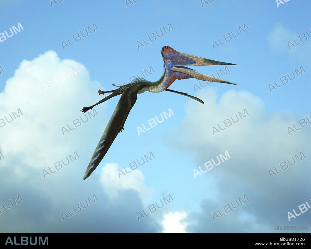 Zhejiangopterus is the genus of a moderately large azhdarchid pterosaur with a wingspan of about 12 feet and weight of about 50 pounds. Known for its long neck and lack of a long protruding head keel typical of other pterosaurs, this flying reptile soared in the skies of Late Cretaceous China about 81 million years ago and likely fed upon fish.