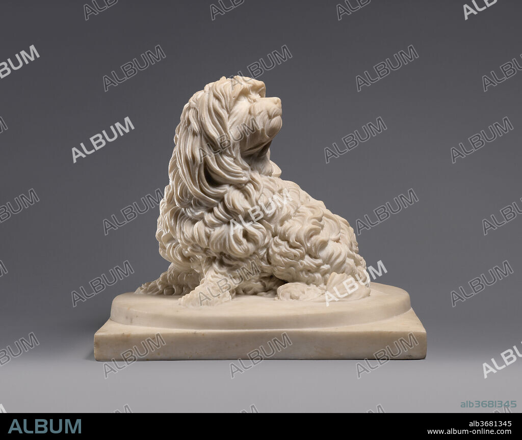 Shock Dog (nickname for a dog of the Maltese breed). Artist: Anne Seymour Damer (British, Coombe Bank, Sevenoaks, Kent 1748-1828 London). Culture: British. Dimensions: Overall (confirmed): 13 1/8 × 14 15/16 × 12 5/8 in., 75 lb. (33.3 × 38 × 32.1 cm, 34 kg). Date: probably 1782.
Portrayed life-size, the small dog attentively looks up and awaits a word or a touch from its master. In eighteenth-century Britain, small breeds like the Maltese -- known as a shock dog for its rough coat -- were beloved companions. The emotional bond between owners and their pets often were commemorated in endearing portraits like this one.
Anne Damer was celebrated as Britain's first woman sculptor who portrayed both animals and people with memorable personal style. Noble-born and highly educated, Damer inscribed the Shock Dog with her name in Greek to recall her art's classical origins. The engaging naturalism of this canine portrait testifies to her artistic mastery and to her empathy. At her death, Damer asked to be buried with her sculptor's tools and the bones of her favorite dog: two life-long joys that had sustained her.