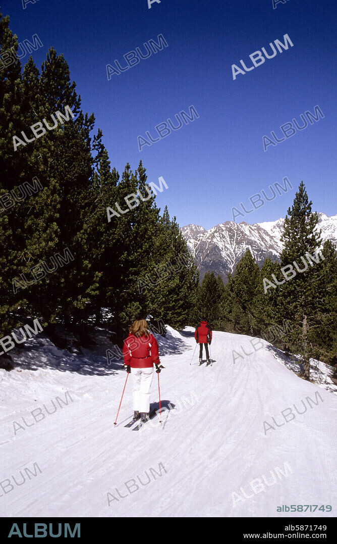 Aramón - Cerler ski station; ski run between pine trees (Benasque / Alto Esera Valley).