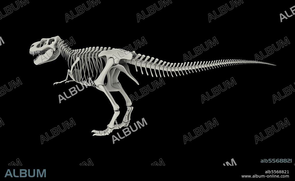 Skeletal system of Tyrannosaurus rex, side view.