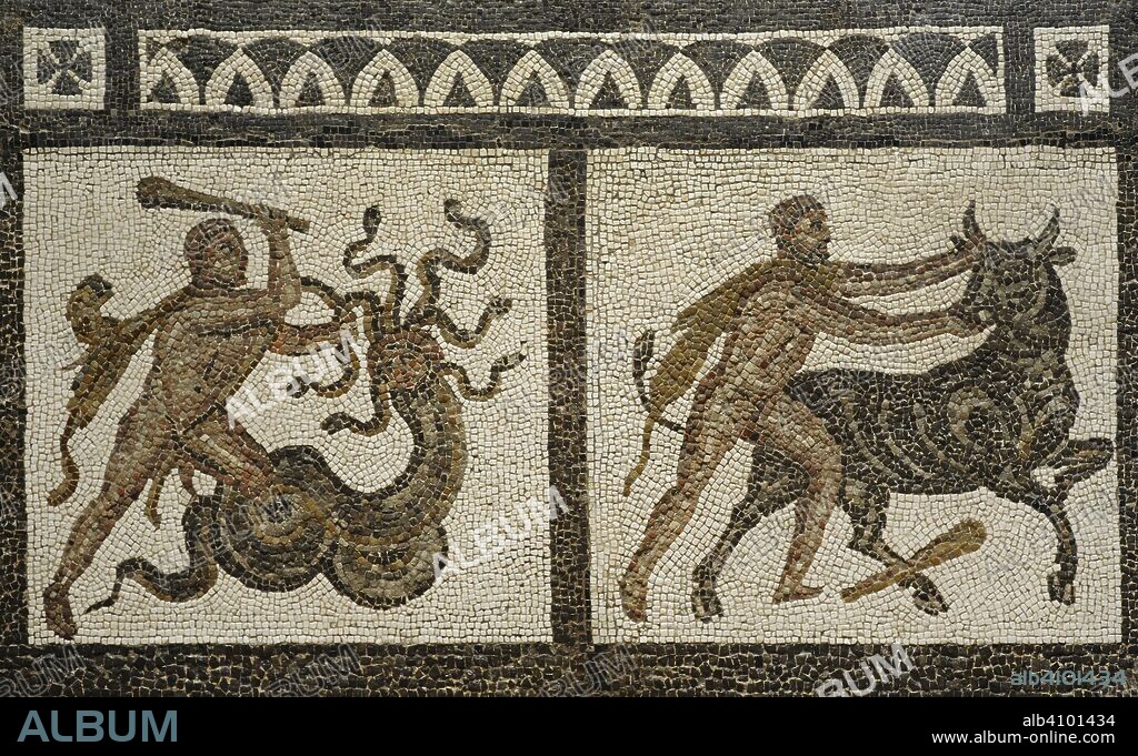 The Labours of Hercules. Roman mosaic. Detail. Depiction of Hercules battling the Lernaean Hydra (right) and capturing the Cretan Bull, ordered by King Eurystheus and bring it back to him (left). 3rd century AD. From Liria (Valencia province, Spain). National Archaeological Museum. Madrid. Spain.