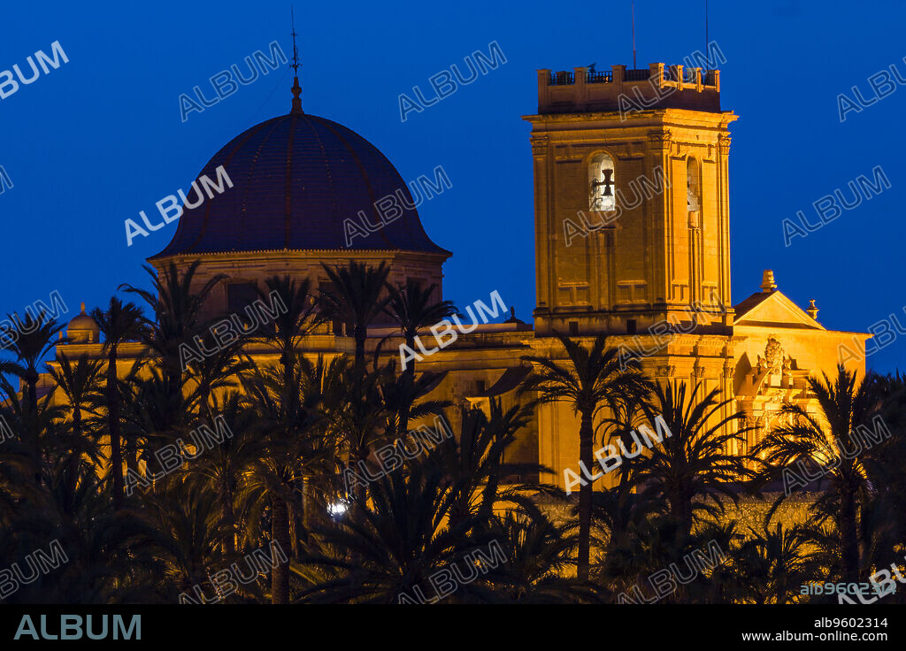 basilica of Santa Maria, 1672, Palmeral de Elche, Unesco World Heritage Site, Province of Alicante, Valencia, Spain.