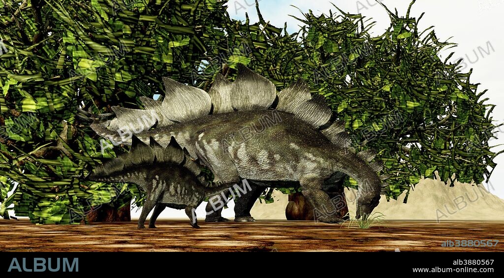 A Stegosaurus baby looks to its mother to find the best eating foliage.