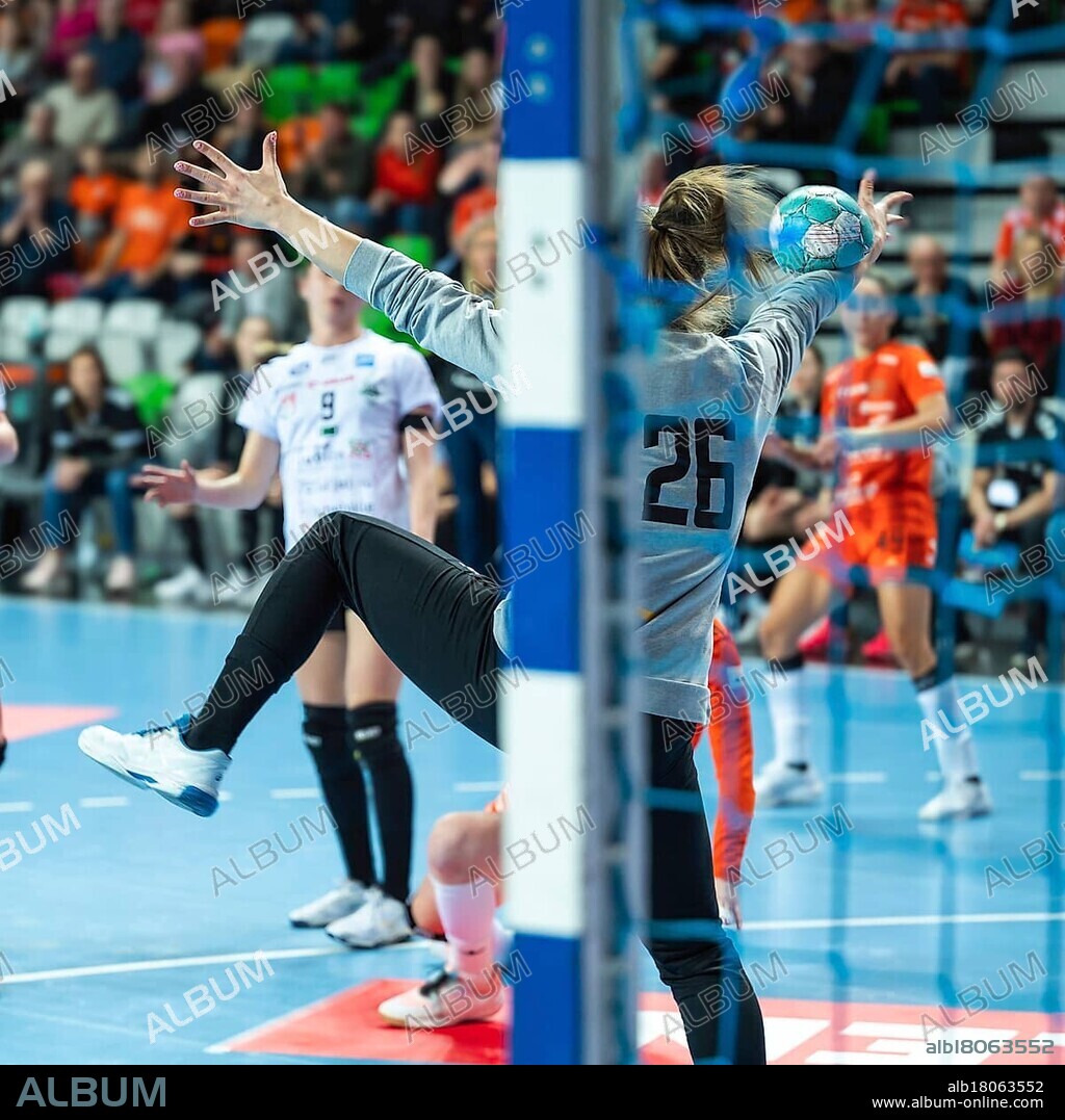 The goalkeeper saves shot during handball game