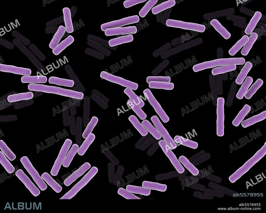 Microscopic x-ray view of Clostridium perfringens bacteria.