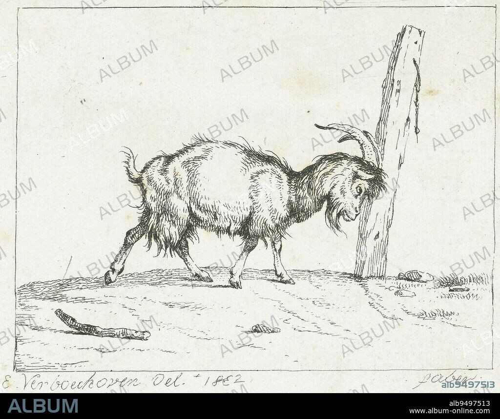 Goat, bumping its horns against a post, Frédéric Théodore Faber, after Eugène Verboeckhoven, 1831 - 1837, print maker: Frédéric Théodore Faber, (mentioned on object), intermediary draughtsman: Eugène Verboeckhoven, (mentioned on object), print maker: Brussels, intermediary draughtsman: Low Countries, 1831 - 1837, paper, etching, h 91 mm × w 108 mm.