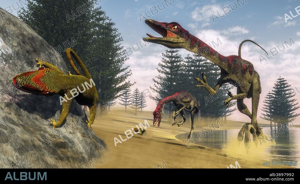 Compsognathus dinosaur hunting a gecko in a lagoon with calamite trees.