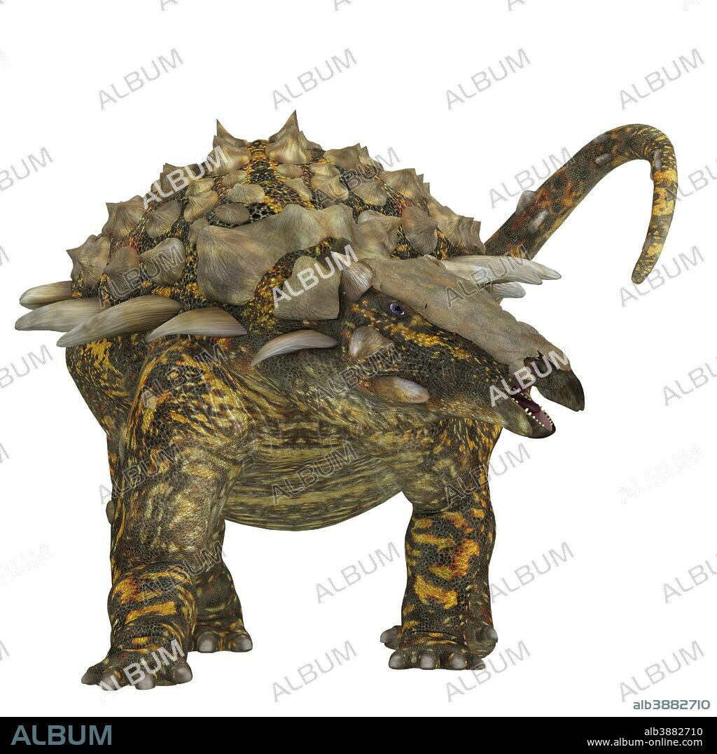 Front view of a Gargoyleosaurus dinosaur. Gargoyleosaurus was an ankylosaur that lived in the Jurassic Age of Wyoming, North America.
