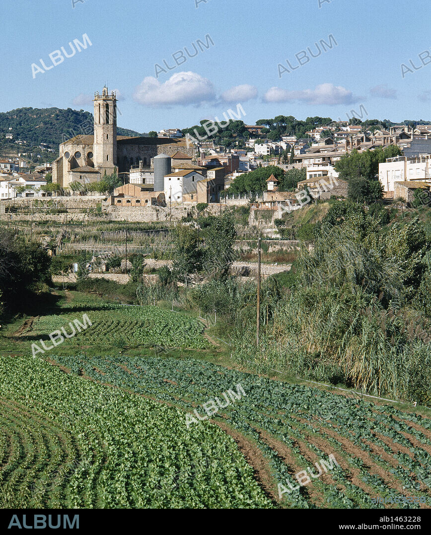 CATALUÑA. CALDES DE MONTBUI. Vista parcial de la población, importante por sus aguas cálidas y por las antiguas termas romanas. En primer término cultivos de lechugas. Comarca del Vallès Occidental. Provincia de Barcelona.