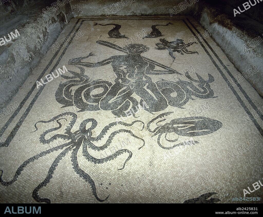 ARTE ROMANO. ITALIA. MOSAICO de pavimento de teselas blancas y negras con la representación de un TRITON RODEADO DE DELFINES, PULPOS Y MORENAS. (Fechado en el siglo I a. C.). "APODYTERIUM" o VESTUARIO FEMENINO DE LAS TERMAS URBANAS DE LA CIUDAD DE HERCULANO. La Campania.
