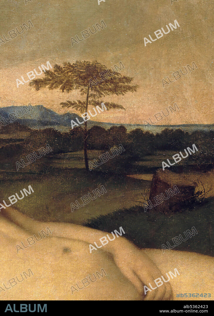 GIORGIONE (1478-1510)/ Sleeping Venus. Date/Period: 1508 - 1510. Painting. Oil on canvas. Height: 1,085 mm (42.71 in); Width: 1,750 mm (68.89 in). (Detail).