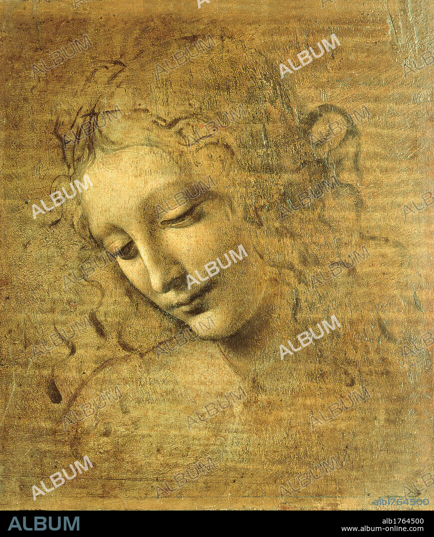 Head of a Young Woman La Scapigliata (The Lady of the Disheveled Hair), by Leonardo da Vinci Unknown Artist, 1508 about, 16th Century, Umbra, green amber and white highlights, white lead, on panel, cm 24,7 x 21. Italy, Emilia Romagna, Parma, National Gallery. All. Face young woman sweetness look wavy hair curls. Authorization required for non editorial use.