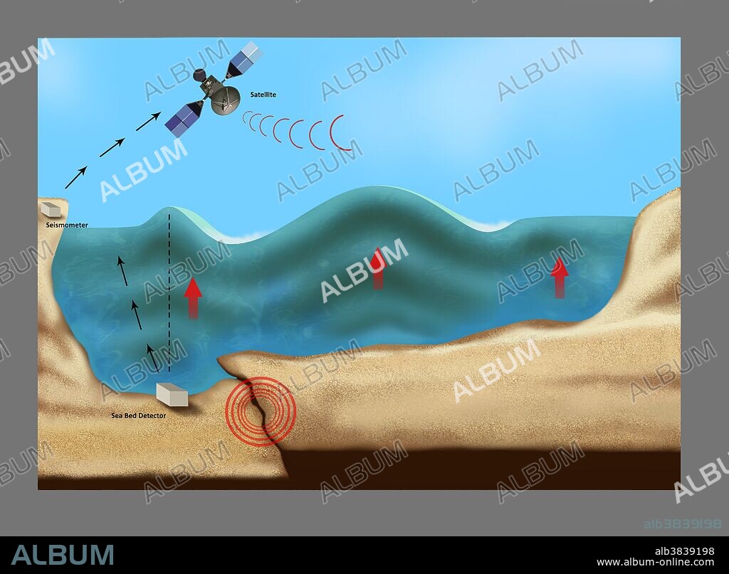 Illustration outlining a tsunami forming, caused by collision of the seabed during an earthquake circled in red. Equipment used to detect a forming tsunami includes a sea bed detector on the bottom left, a seismometer on the upper left and a satellite shown in the sky above the water. Red arrows indicate the upward movement of the ocean water.