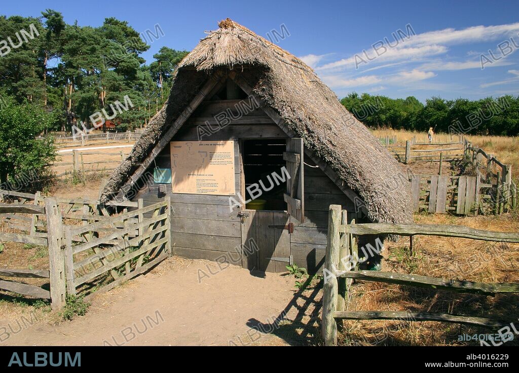 West Stow Country Park and Anglo-Saxon Village, Bury St Edmund's, Suffolk. A reconstruction of an early Anglo-Saxon village from c420-650 excavated on the site.