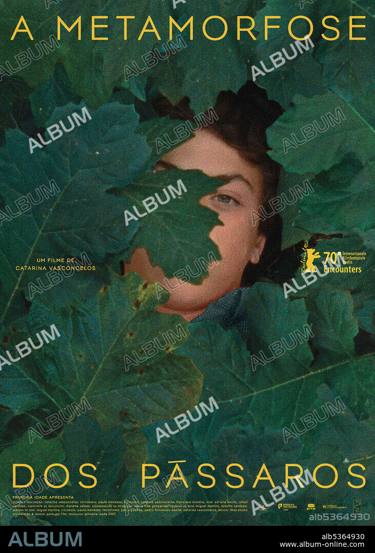 Poster of THE METAMORPHOSIS OF BIRDS, 2020 (A METAMORFOSE DOS PASSAROS), directed by CATARINA VASCONCELOS. Copyright Primeira Idade.