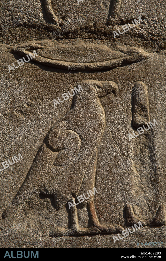 ESCRITURA JEROGLIFICA. EGIPTO. Detalle de una de las paredes del PRIMER PATIO DE RAMSES II decorada con un dibujo jeroglífico en forma de aguila. TEMPLO DE LUXOR. DINASTIA XIX. (1320-1200 a. C.). IMPERIO NUEVO.
