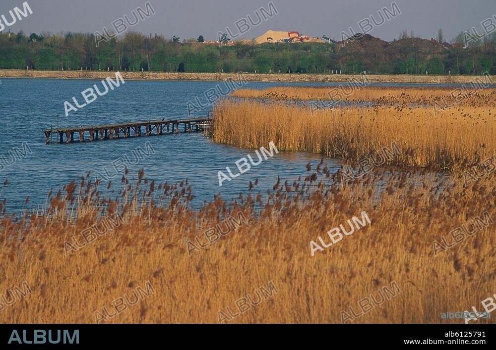 Saclay (Dép.Essonne, Ile de France, Frankreich), Plateau de Saclay, Étang de Saclay.-Blick über den Étang de Saclay.-Foto, undatiert.